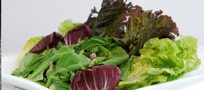 Ensalada de Tres Lechugas